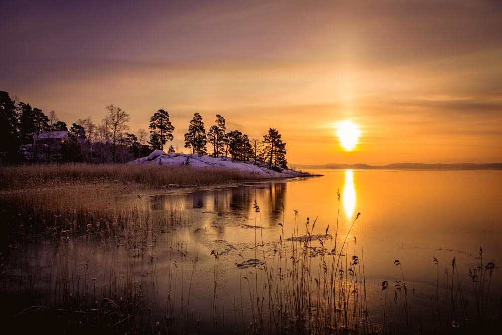 Vinter vid havskanten, bild österut från bryggan med en morgonsol som precis visar sig ovanför horisonten. Den orangea solen speglar sig i vattnet som är helt stilla. Ett skär med några träd syns som silhuetter. I förgrunden står några stolta vasstrån.