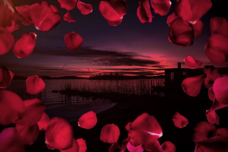 Bild från stranden en kväll redigerad med rosenbland runt bilden
